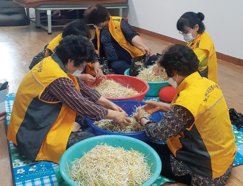 먹거리나눔봉사단원들이 재배한 콩나물을 다듬는 작업을 하고 있다.