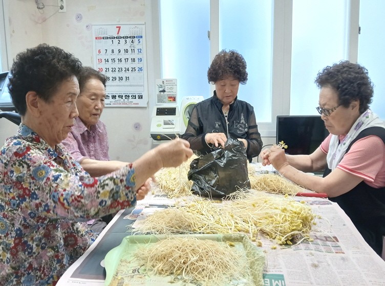 직접 키운 콩나물을 다듬고 있는 경로당 회원들.