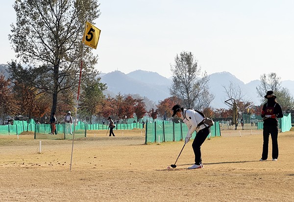 파크골프 경기에 출전한 한 선수가 공을 치기 직전 신중한 자세를 취하고 있다.