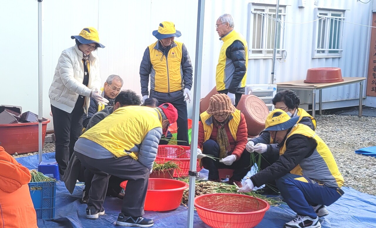 징검다리노인자원봉사단이 김치 담그기 봉사활동을 했다. 