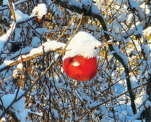 [디카시 산책] 존재감
