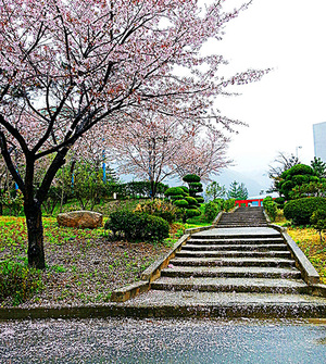 [디카시 산책] 4월