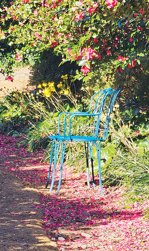 [디카시 산책] 자발적 순장(殉葬)