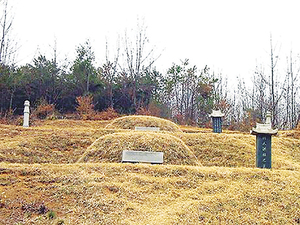 [인문학 여행 역사의 길을 걷다 114] 기생 홍랑의 ‘금지된 사랑’ “관기 금기 깨고 한 남자만 사랑… 그가 죽자 3년 시묘살이까지”