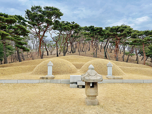 [인문학 여행 역사의 길을 걷다 118] 조선 최고 ‘장수 왕자’ 효령대군 “권력 포기 후 불교에 심취… 90세까지 행복한 삶”