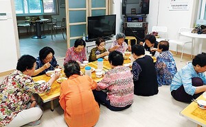 ‘경로당 부식비’ 내년 국비 지원 불투명